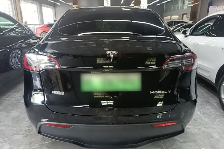 Used Tesla Model Y 2021 Standard Range Rear-Wheel Drive Version Rear