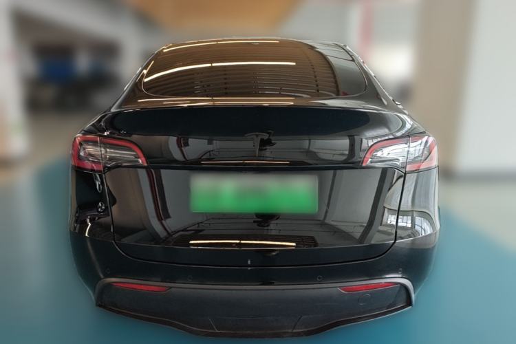 Used Tesla Model Y 2021 Standard Range Rear-Wheel Drive Version Rear