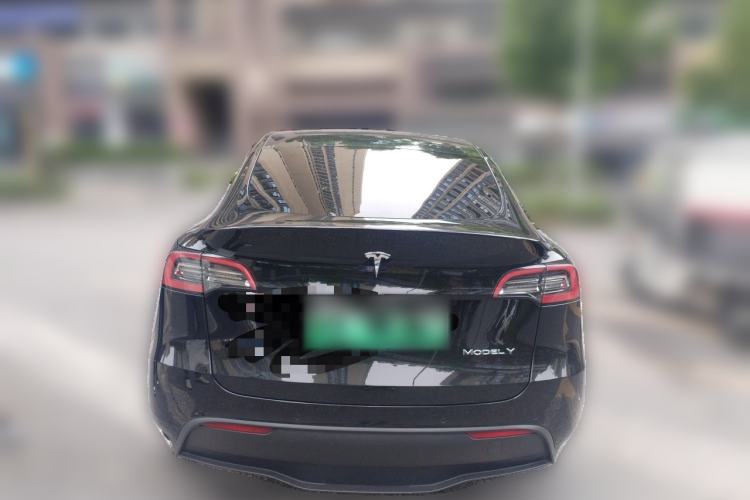 Used Tesla Model Y 2021 Standard Range Rear-Wheel Drive Version Rear