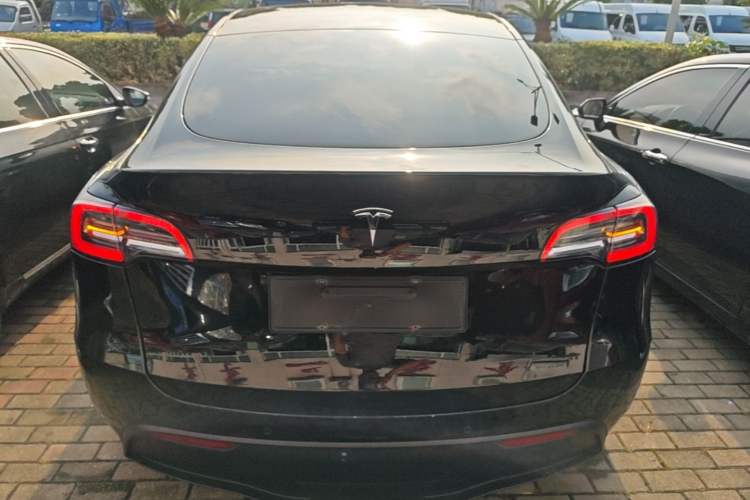 Used Tesla Model Y 2021 Standard Range Rear-Wheel Drive Version Rear