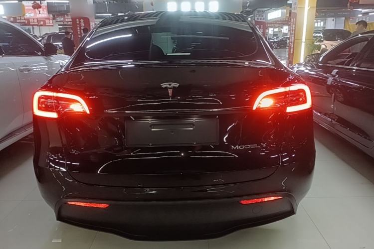 Used Tesla Model Y 2021 Standard Range Rear-Wheel Drive Version Rear