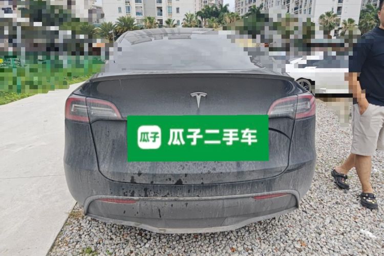 Used Tesla Model Y 2021 Standard Range Rear-Wheel Drive Version Rear