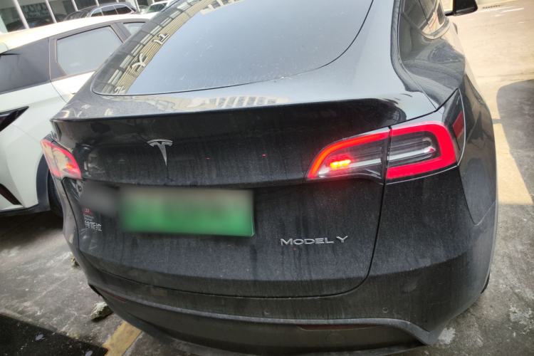 Used Tesla Model Y 2021 Standard Range Rear-Wheel Drive Version Rear