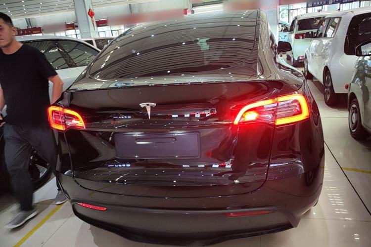 Used Tesla Model Y 2021 Standard Range Rear-Wheel Drive Version Rear