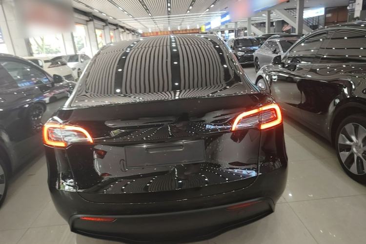 Used Tesla Model Y 2021 Standard Range Rear-Wheel Drive Version Rear