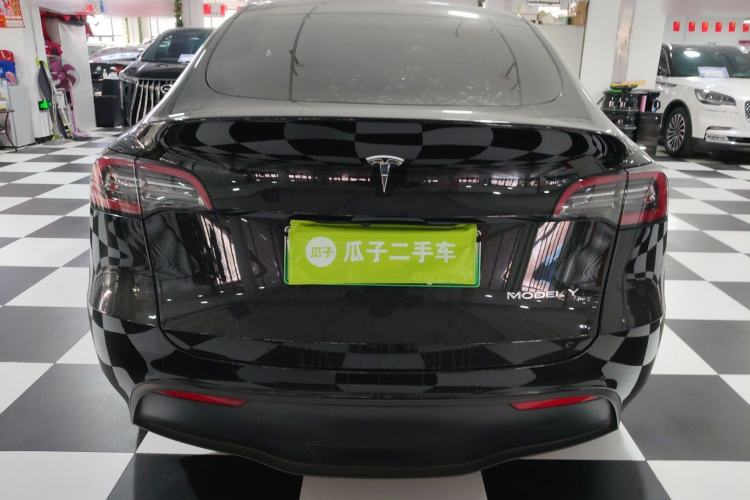 Used Tesla Model Y 2021 Standard Range Rear-Wheel Drive Version Rear