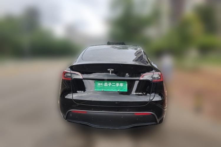 Used Tesla Model Y 2021 Standard Range Rear-Wheel Drive Version Rear