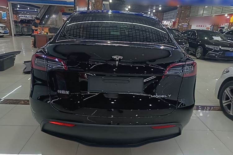 Used Tesla Model Y 2021 Standard Range Rear-Wheel Drive Version Rear
