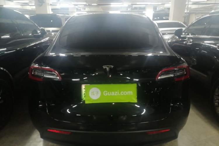 Used Tesla Model Y 2021 Standard Range Rear-Wheel Drive Version Rear