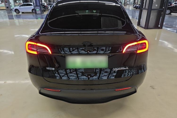 Used Tesla Model Y 2021 Standard Range Rear-Wheel Drive Version Rear