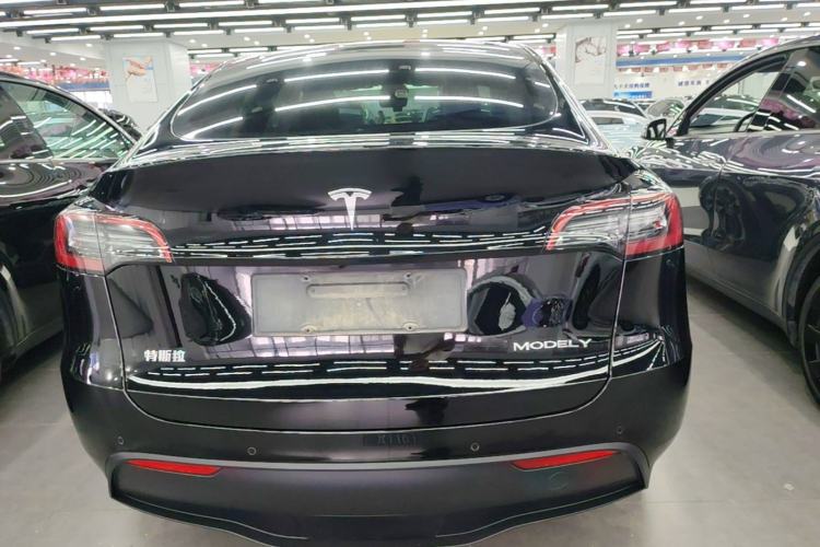 Used Tesla Model Y 2021 Standard Range Rear-Wheel Drive Version Rear