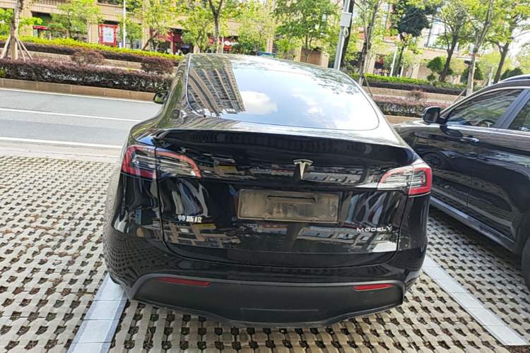 Used Tesla Model Y 2021 Standard Range Rear-Wheel Drive Version Rear
