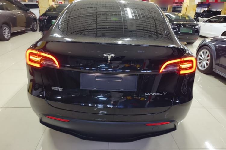 Used Tesla Model Y 2021 Standard Range Rear-Wheel Drive Version Rear