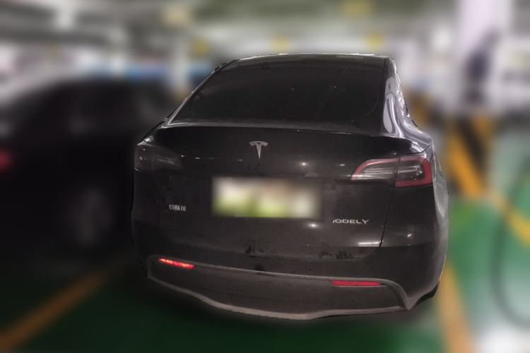 Used Tesla Model Y 2021 Standard Range Rear-Wheel Drive Version Rear