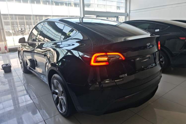 Used Tesla Model Y 2021 Revised Version 2 Long-Range All-Wheel-Drive Edition Rear Left 45 Deg