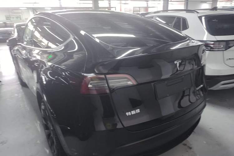 Used Tesla Model Y 2021 Long-Range All-Wheel-Drive Version Rear Left 45 Deg