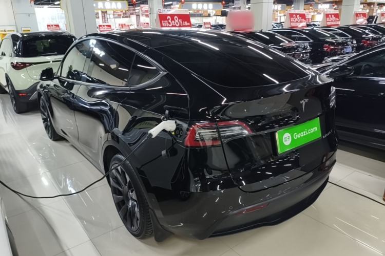 Used Tesla Model Y 2021 Standard Range Rear-Wheel Drive Version Rear Left 45 Deg