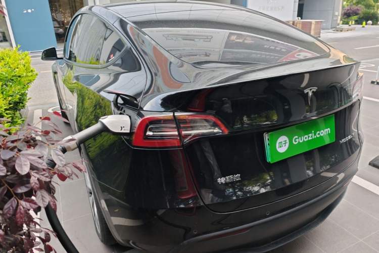 Used Tesla Model Y 2021 Standard Range Rear-Wheel Drive Version Rear Left 45 Deg