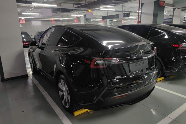 Used Tesla Model Y 2021 Standard Range Rear-Wheel Drive Version Rear Left 45 Deg