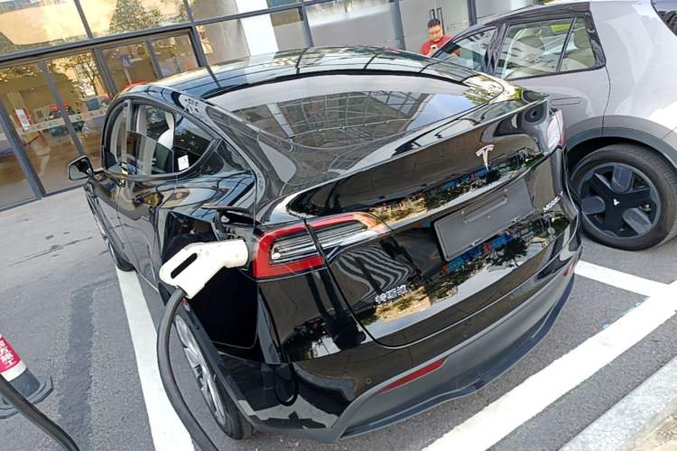 Used Tesla Model Y 2021 Standard Range Rear-Wheel Drive Version Rear Left 45 Deg