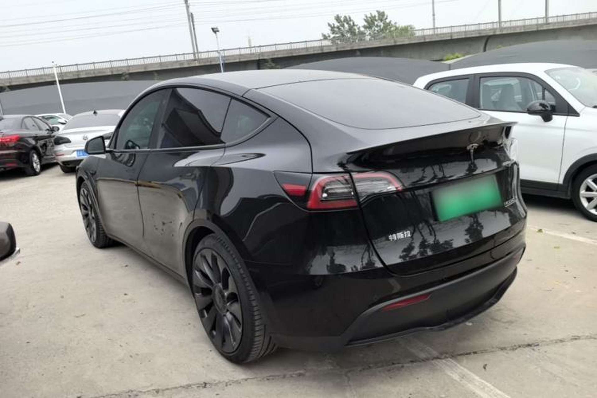 Used Tesla Model Y 2021 Performance High-Performance All-Wheel-Drive Version Rear Left 45 Deg