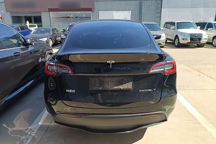 Used Tesla Model Y 2021 Standard Range Rear-Wheel Drive Version Rear