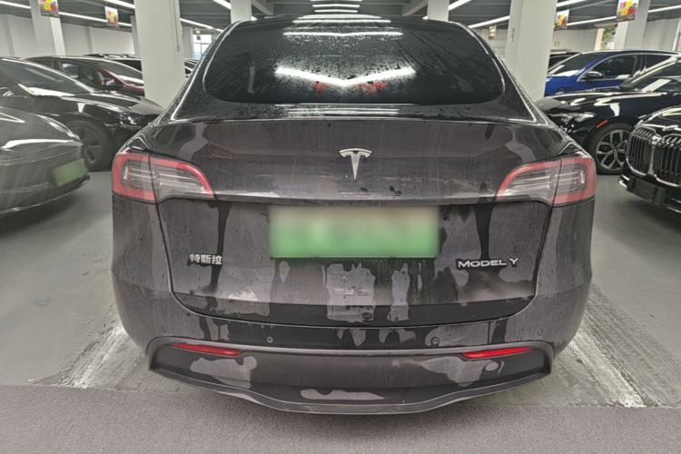 Used Tesla Model Y 2021 Standard Range Rear-Wheel Drive Version Rear