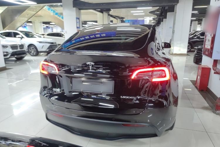 Used Tesla Model Y 2021 Standard Range Rear-Wheel Drive Version Rear