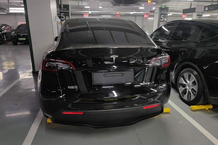Used Tesla Model Y 2021 Standard Range Rear-Wheel Drive Version Rear