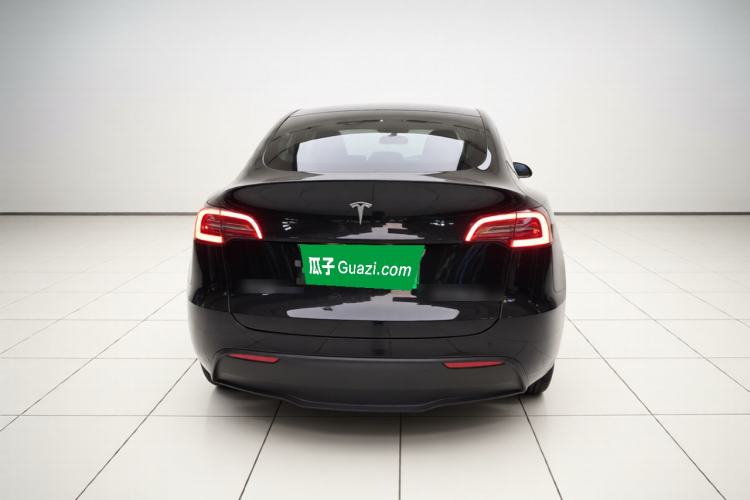 Used Tesla Model Y 2021 Standard Range Rear-Wheel Drive Version Rear