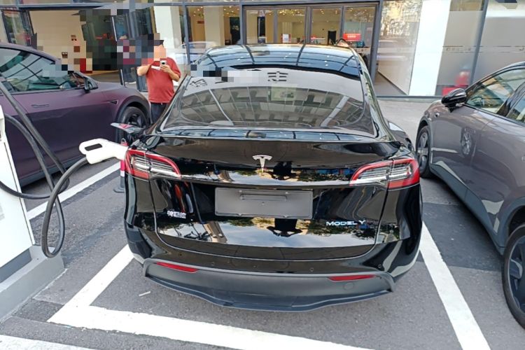 Used Tesla Model Y 2021 Standard Range Rear-Wheel Drive Version Rear