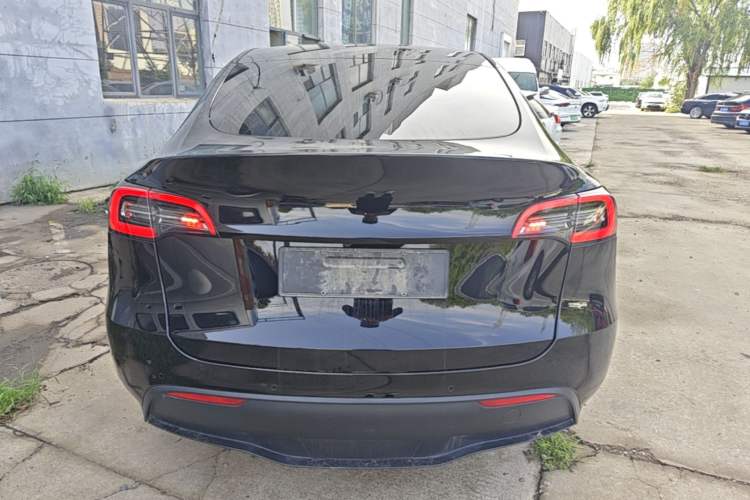 Used Tesla Model Y 2021 Standard Range Rear-Wheel Drive Version Rear
