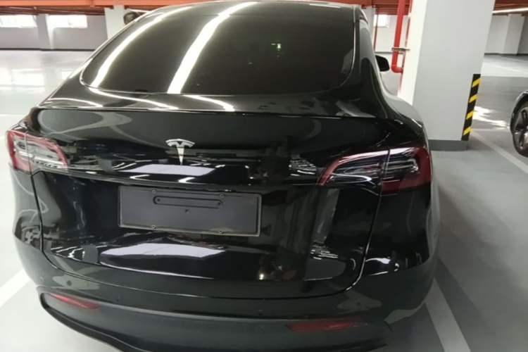 Used Tesla Model Y 2021 Standard Range Rear-Wheel Drive Version Rear