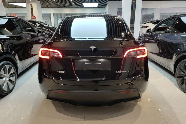 Used Tesla Model Y 2021 Standard Range Rear-Wheel Drive Version Rear