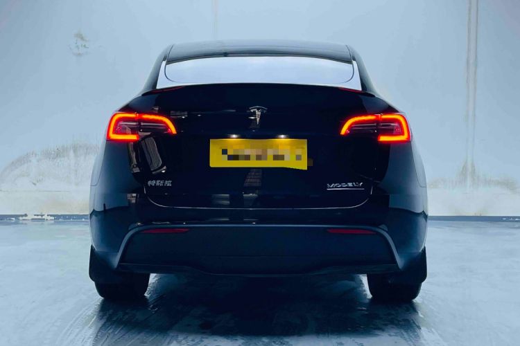 Used Tesla Model Y 2021 Standard Range Rear-Wheel Drive Version Rear