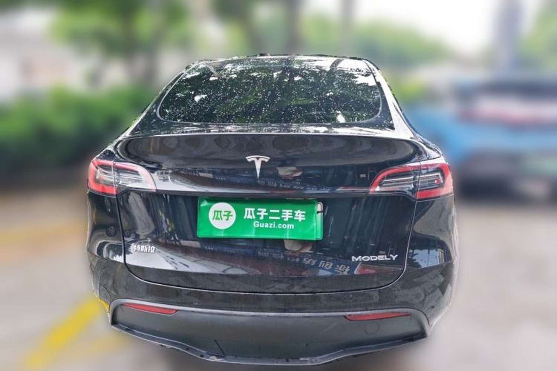 Used Tesla Model Y 2021 Standard Range Rear-Wheel Drive Version Rear