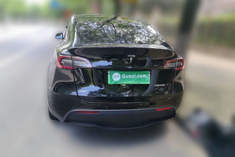 Used Tesla Model Y 2021 Standard Range Rear-Wheel Drive Version Rear