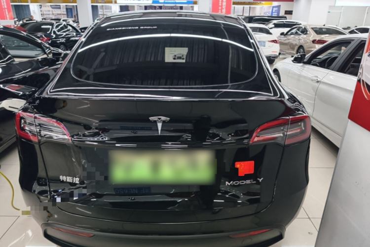 Used Tesla Model Y 2021 Standard Range Rear-Wheel Drive Version Rear