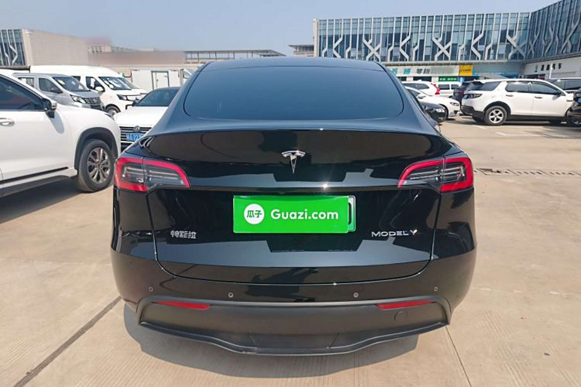 Used Tesla Model Y 2021 Standard Range Rear-Wheel Drive Version Rear