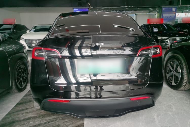 Used Tesla Model Y 2021 Standard Range Rear-Wheel Drive Version Rear