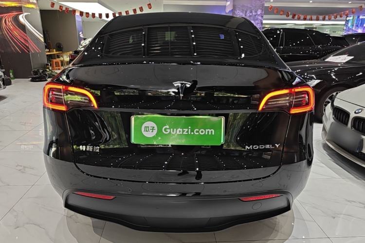 Used Tesla Model Y 2021 Standard Range Rear-Wheel Drive Version Rear