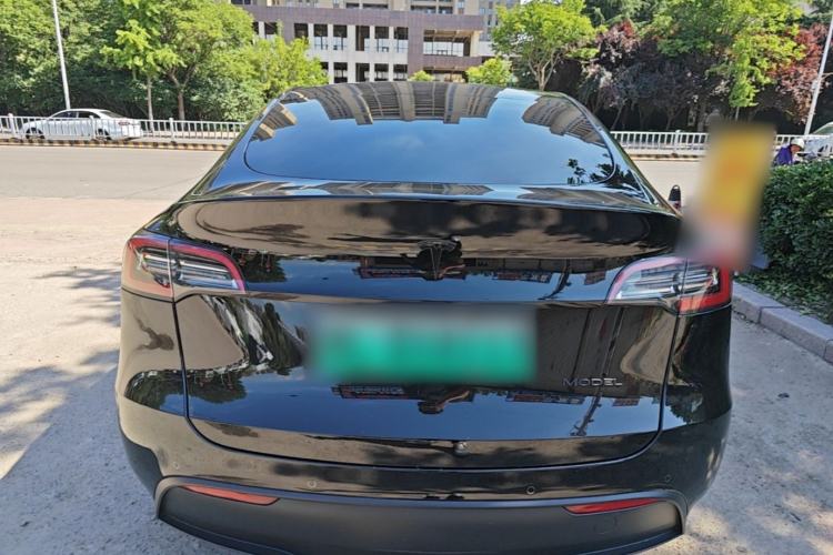 Used Tesla Model Y 2021 Standard Range Rear-Wheel Drive Version Rear