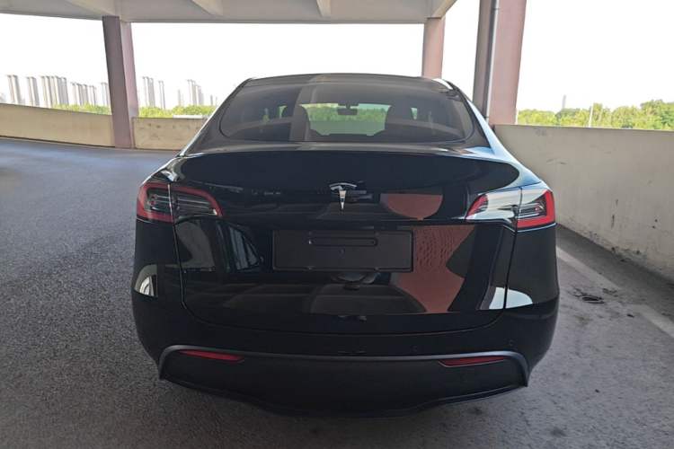 Used Tesla Model Y 2021 Standard Range Rear-Wheel Drive Version Rear