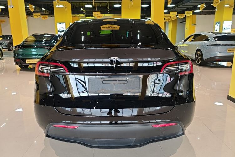 Used Tesla Model Y 2021 Standard Range Rear-Wheel Drive Version Rear