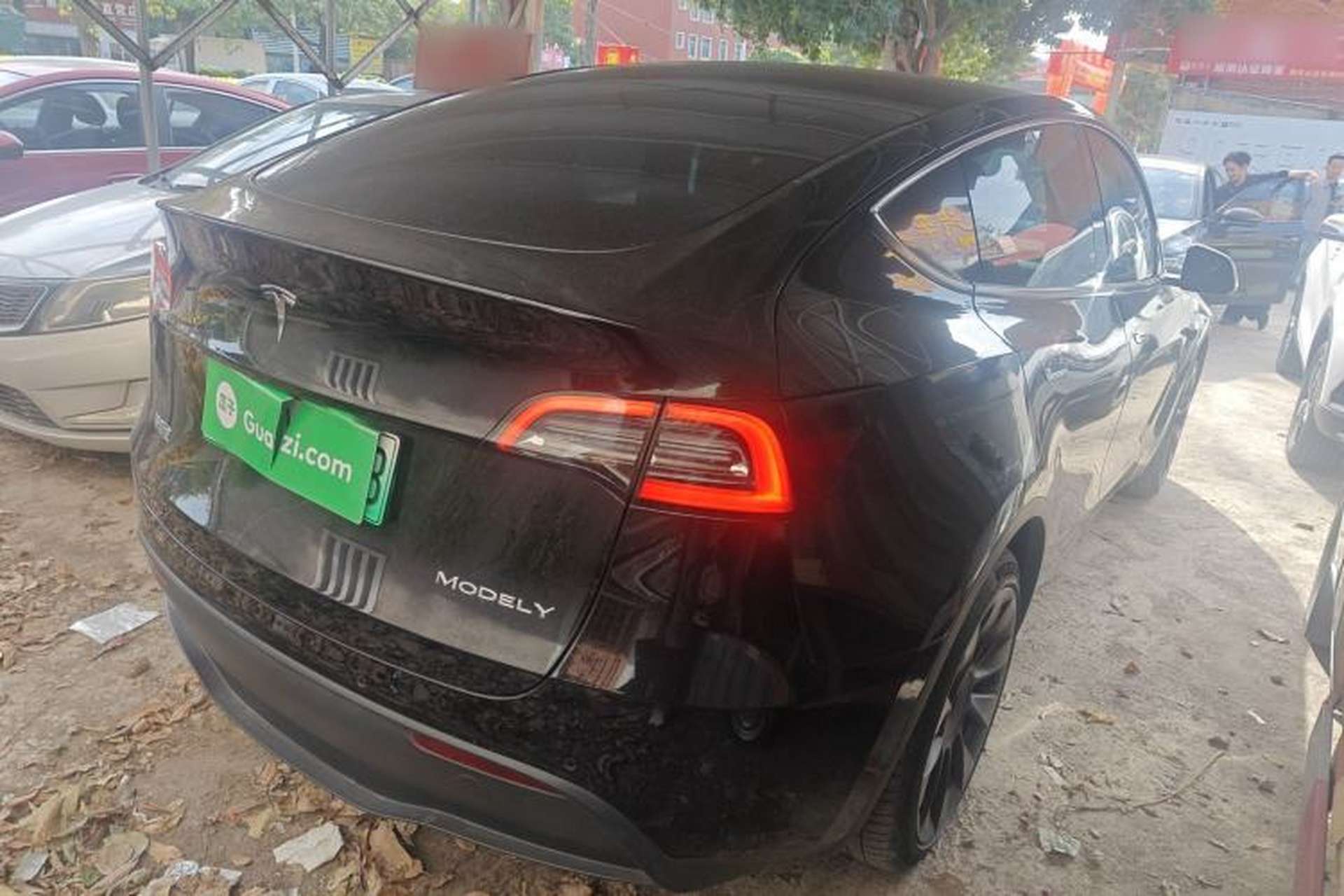 Used Tesla Model Y 2021 Standard Range Rear-Wheel Drive Version Rear Right 45 Deg