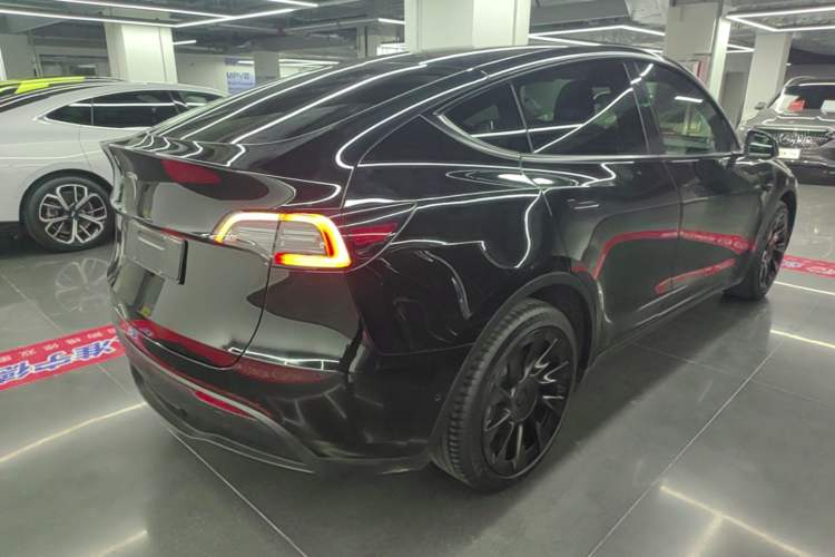 Used Tesla Model Y 2021 Standard Range Rear-Wheel Drive Version Rear Right 45 Deg