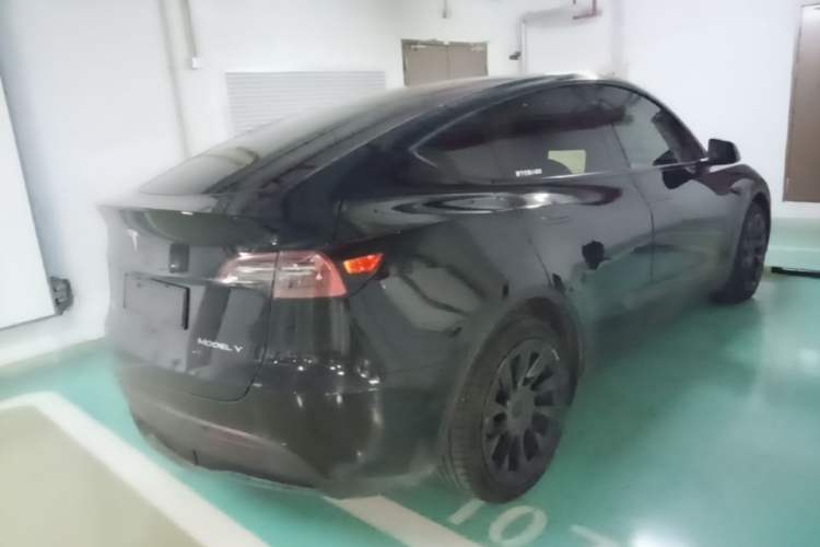 Used Tesla Model Y 2021 Standard Range Rear-Wheel Drive Version Rear Right 45 Deg