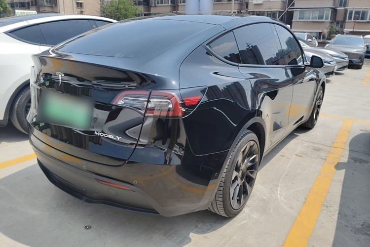 Used Tesla Model Y 2021 Standard Range Rear-Wheel Drive Version Rear Right 45 Deg