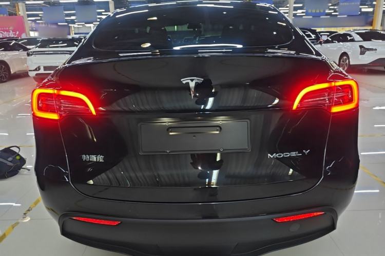 Used Tesla Model Y 2021 Standard Range Rear-Wheel Drive Version Rear