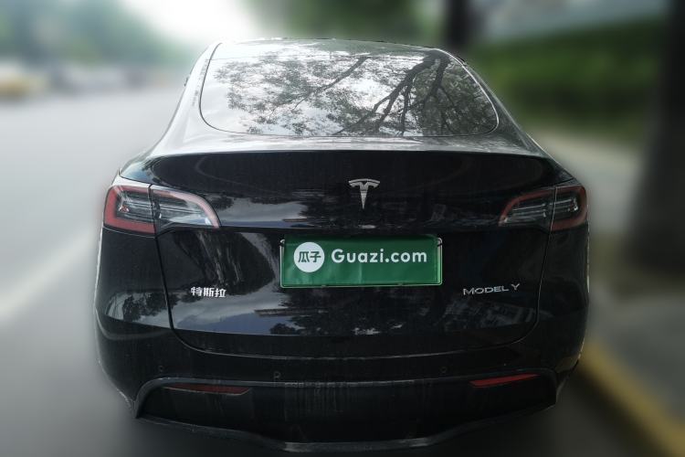 Used Tesla Model Y 2021 Standard Range Rear-Wheel Drive Version Rear